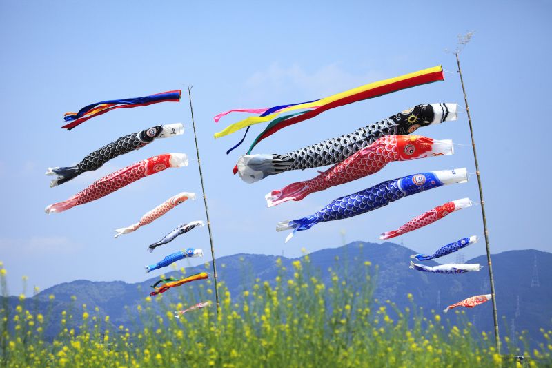 Koinobori- Lễ hội cờ cá chép dành riêng cho bé trai Nhật Bản - Japan.net.vn