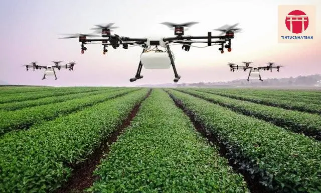 Ứng dụng drone trong nông nghiệp Nhật Bản