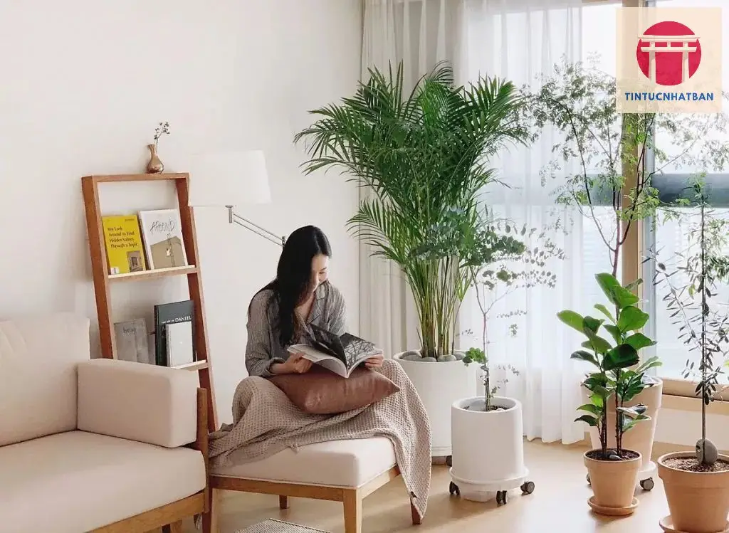 Ảnh hưởng của xu hướng sống tối giản đến cuộc sống đô thị Nhật Bản