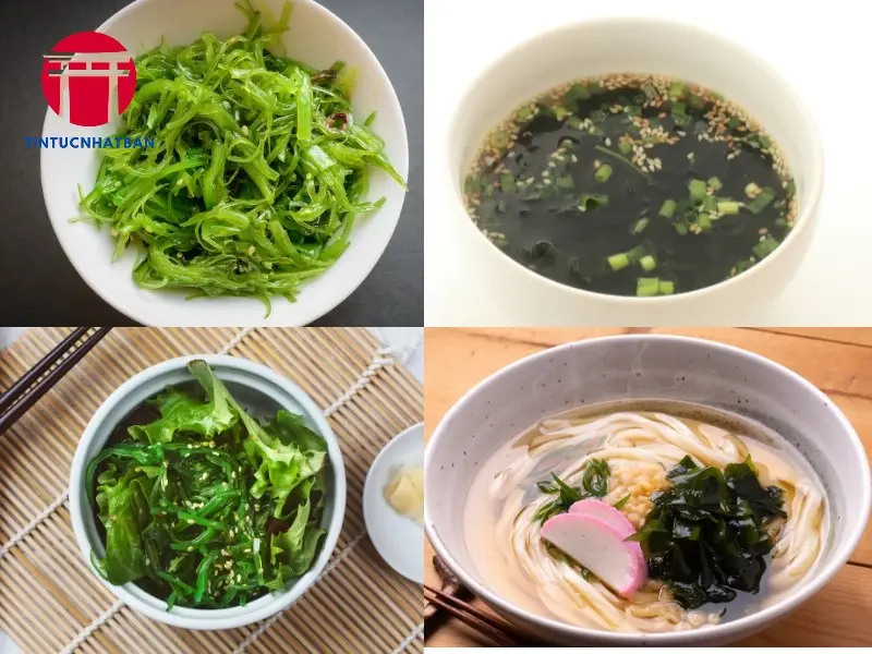Những Thành Phần Dinh Dưỡng Quan Trọng trong Rong Biển Wakame