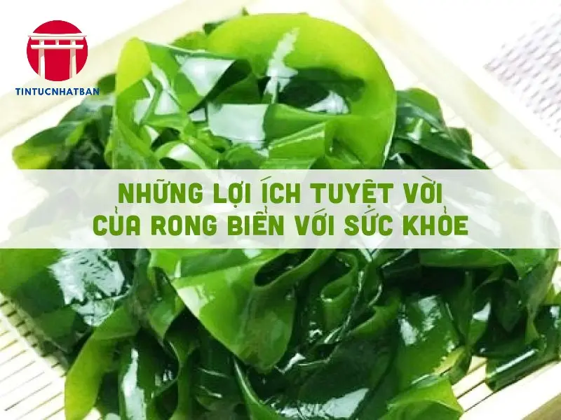 Các Lợi Ích Sức Khỏe Đáng Kể