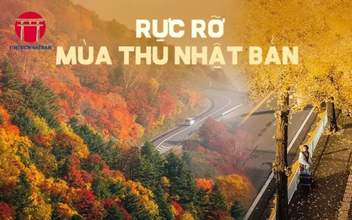 Mùa Thu: Sắc Màu Lãng Mạn