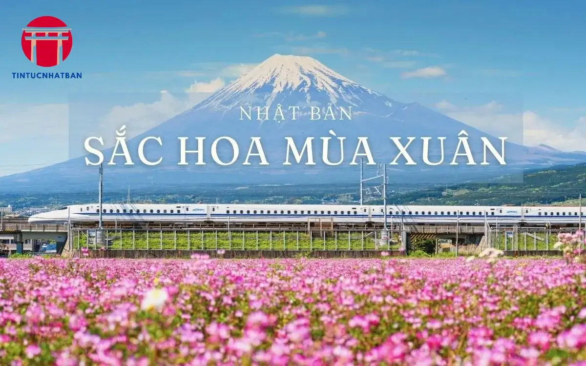Mùa Xuân: Bừng Sức Sống
