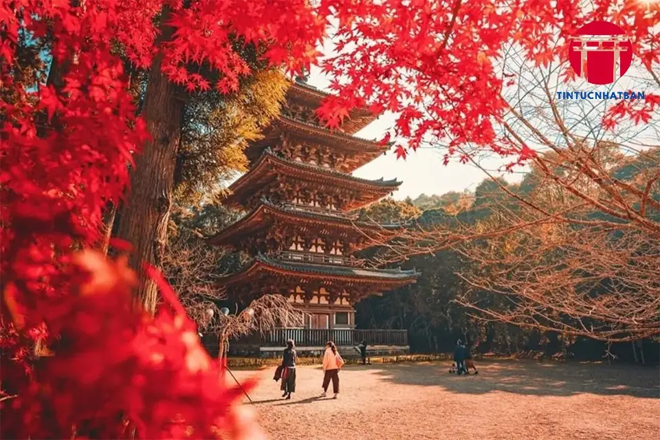 Tại Sao Nên Chọn Vietravel Cho Chuyến Du Lịch Nhật Bản?