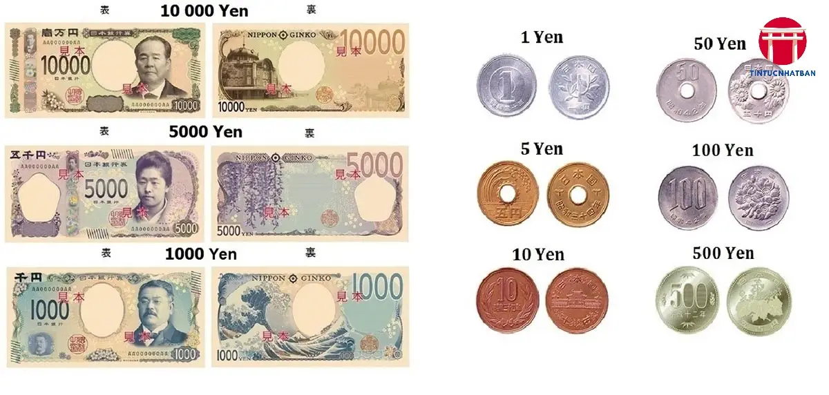 Tình Hình Kinh Tế Vĩ Mô của Nhật Bản và Việt Nam