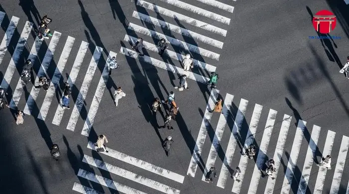 dan so cua nhat ban la bao nhieu 6908551cc7f61