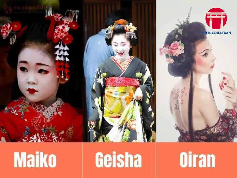 Sự Hiểu Lầm và Những Quan Điểm Sai Lệch Sự Hiểu Lầm và Những Quan Điểm Sai Lệch