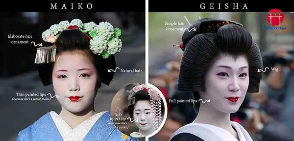 Vai Trò và Nghề Nghiệp của Geisha Vai Trò và Nghề Nghiệp của Geisha