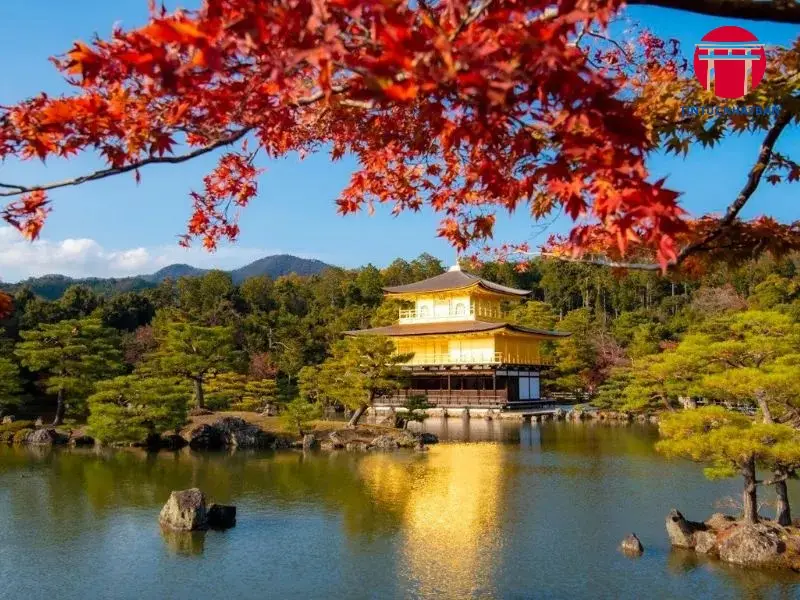 Các Địa Điểm Ngắm Lá Đỏ Nổi Tiếng Và Thời Điểm Lý Tưởng Các Địa Điểm Ngắm Lá Đỏ Nổi Tiếng Và Thời Điểm Lý Tưởng