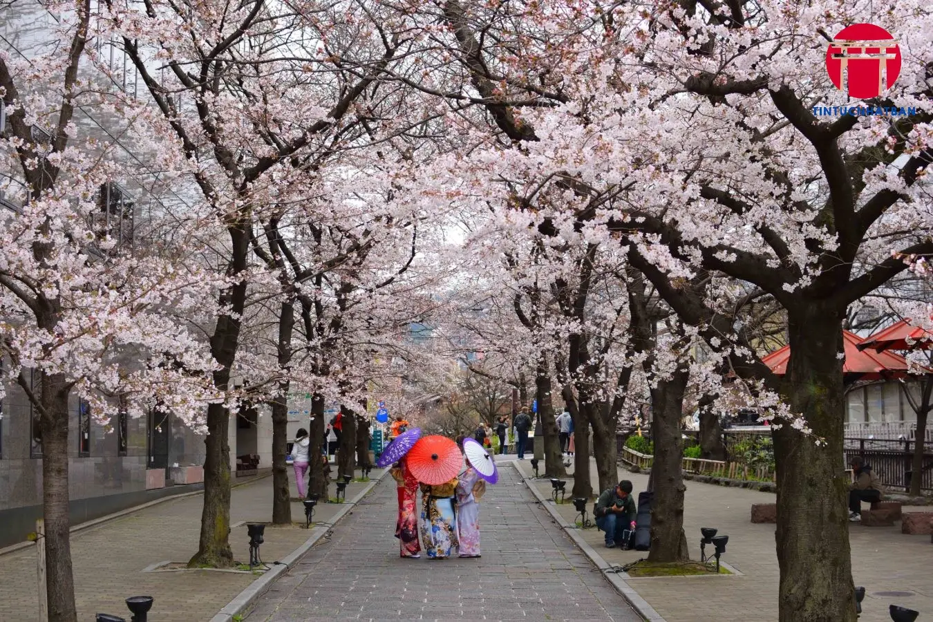 Khoảng Cách Ước Tính và Cách Tính Khoảng Cách Ước Tính và Cách Tính