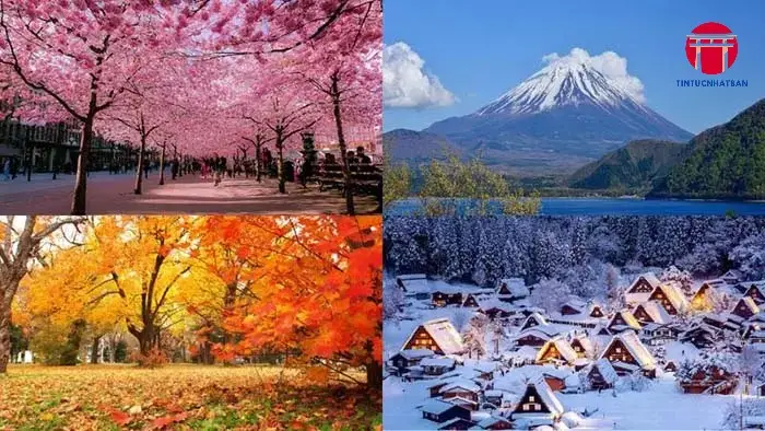 nhat ban nam trong khu vuc khi hau nao 690b92e3ef2f6