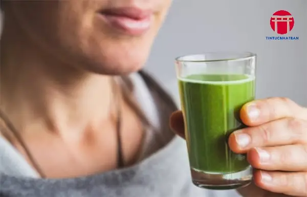 Công Thức Sinh Tố Tảo Xanh Công Thức Sinh Tố Tảo Xanh