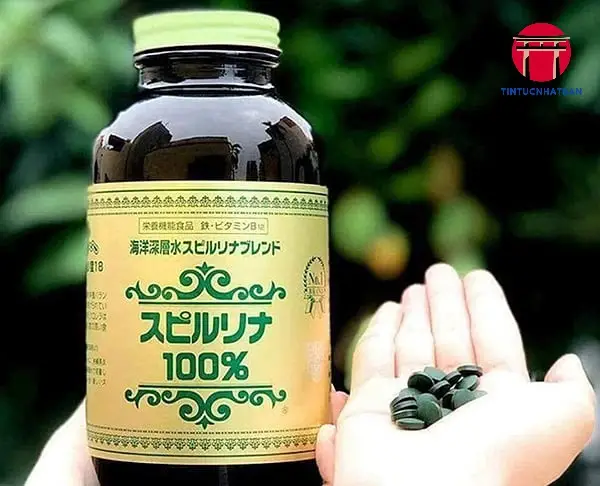 Mẹo Kết Hợp Tảo Xanh Vào Chế Độ Ăn Uống Mẹo Kết Hợp Tảo Xanh Vào Chế Độ Ăn Uống