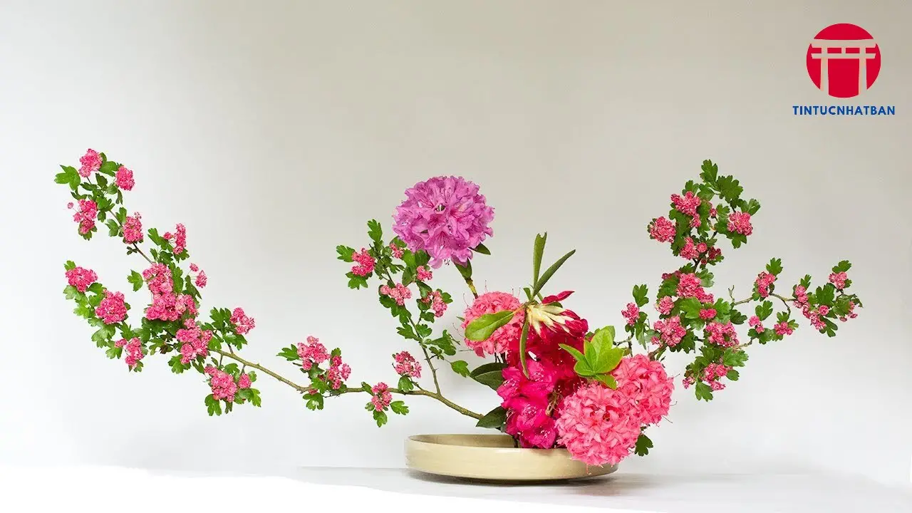 cach cam hoa nghe thuat nhat ban 6932faeb046af