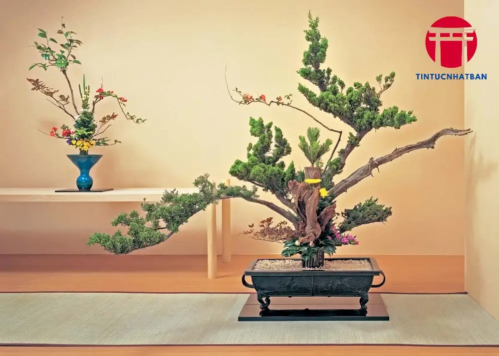Các Bước Cắm Hoa Ikebana Cơ Bản