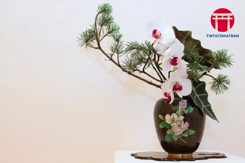 Hướng Dẫn Cắm Hoa Ikebana Cho Người Mới Bắt Đầu