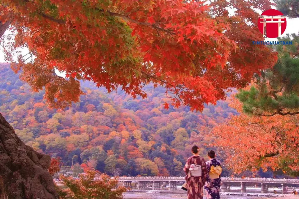 du lich kyoto mua la do 693467b38dc46