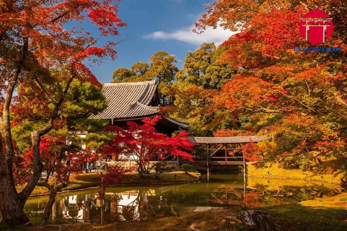 Trải Nghiệm Văn Hóa Độc Đáo Mùa Lá Đỏ Ở Kyoto
