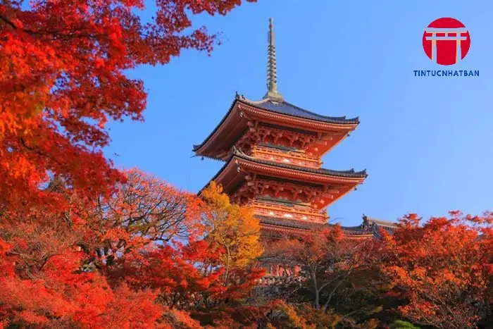 Những Địa Điểm Ngắm Lá Đỏ Tuyệt Đẹp Ở Kyoto