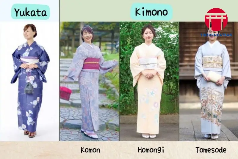 Nguồn Gốc và Lịch Sử