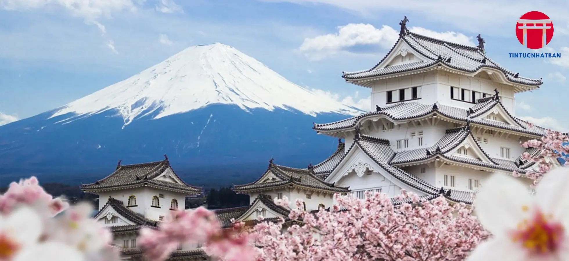 Shirakawago - Làng Cổ Tích Giữa Lòng Tuyết Trắng