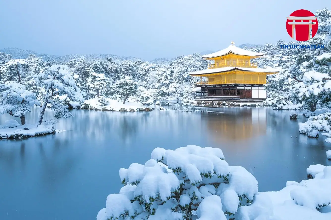 Đặc Điểm Thời Tiết Nhật Bản Mùa Đông và Cách Chuẩn Bị