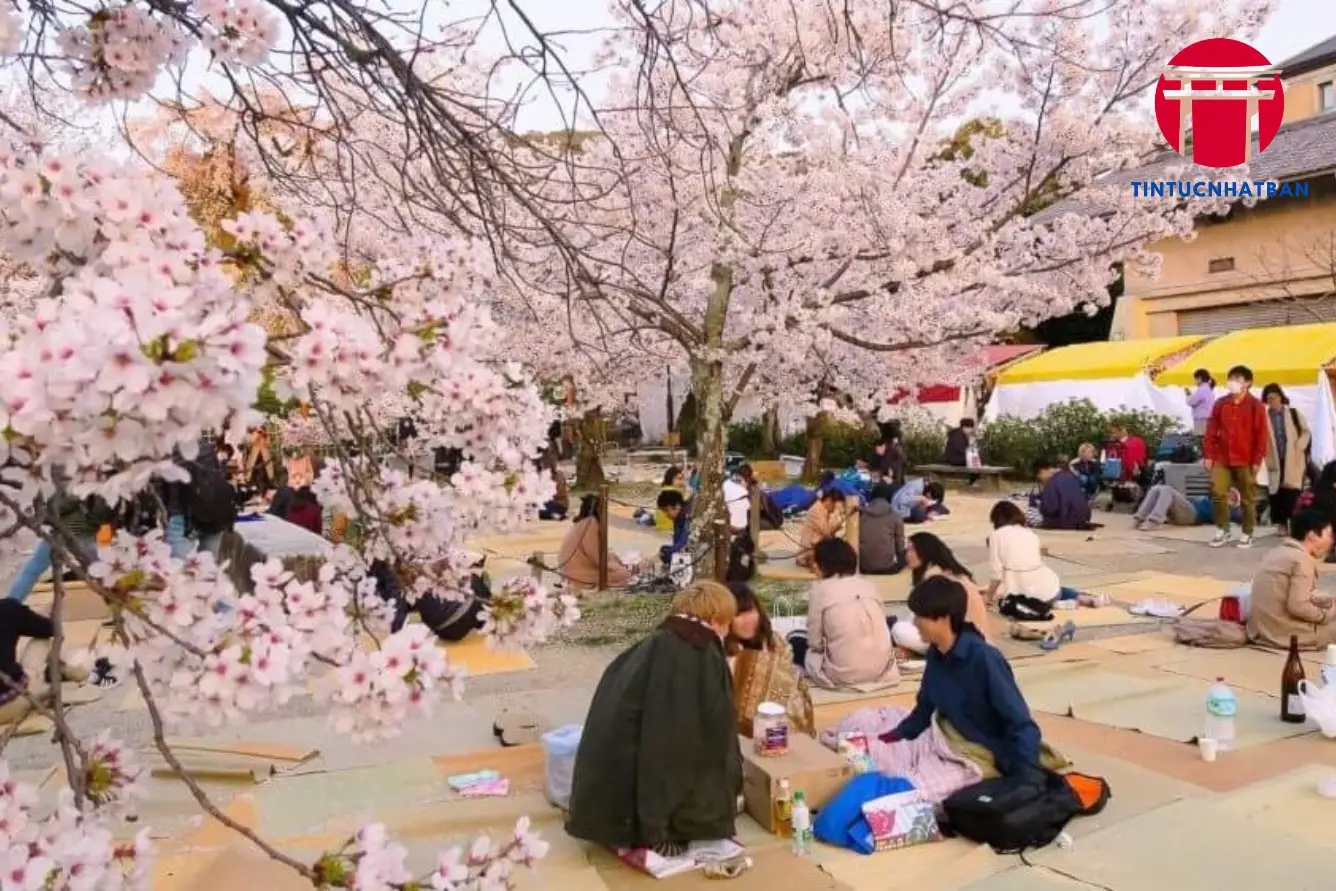 Nguồn Gốc và Ý Nghĩa Văn Hóa của Lễ Hội Hanami Nguồn Gốc và Ý Nghĩa Văn Hóa của Lễ Hội Hanami