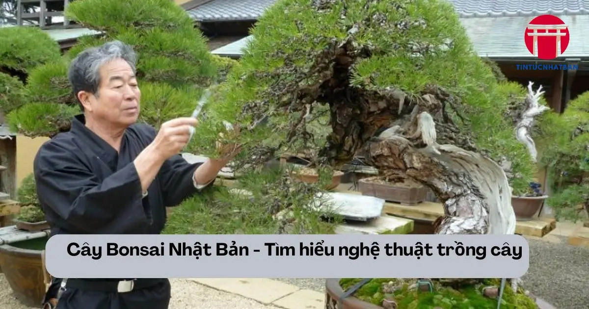 Các Phong Cách Bonsai Nhật Bản