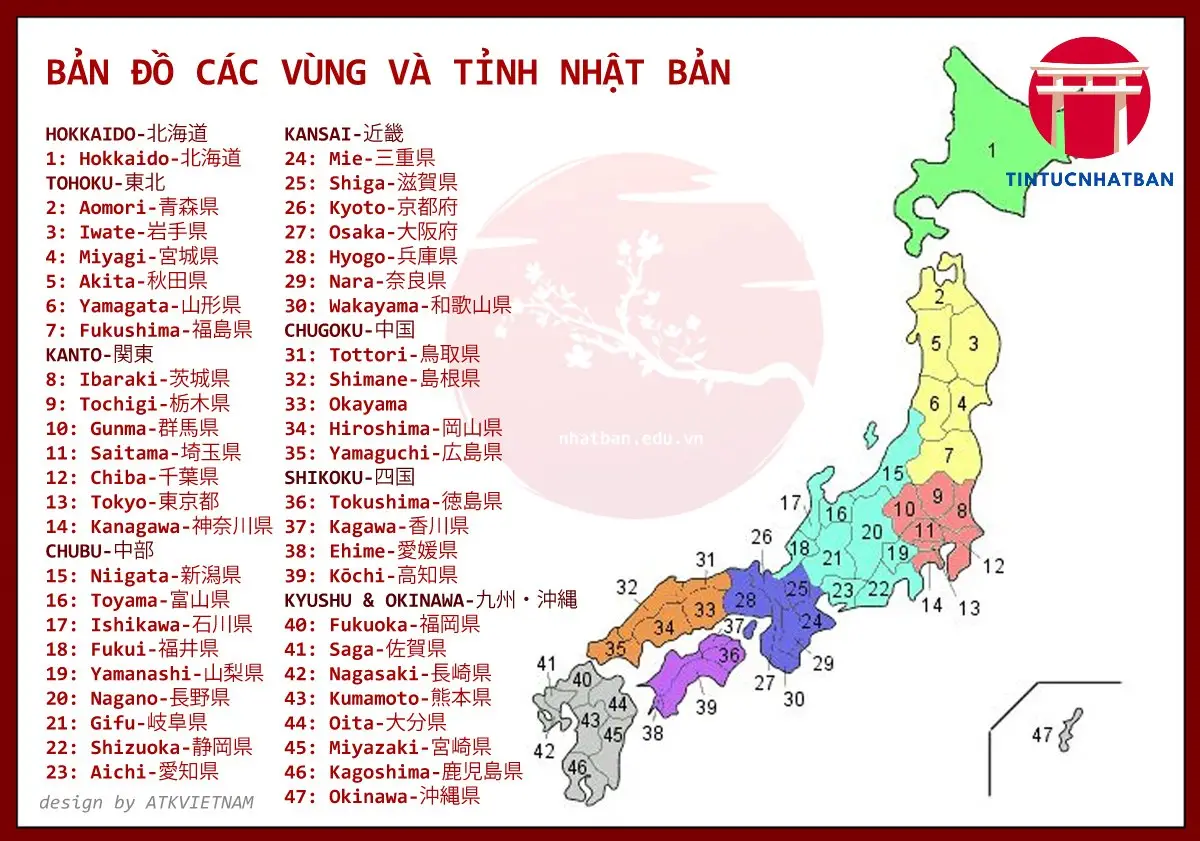 Vai Trò và Chức Năng Của Các Cấp Hành Chính