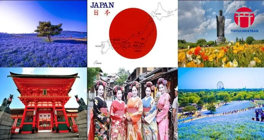 Phân Chia Quyền Lực Theo Nguyên Tắc Tam Quyền Phân Lập Phân Chia Quyền Lực Theo Nguyên Tắc Tam Quyền Phân Lập