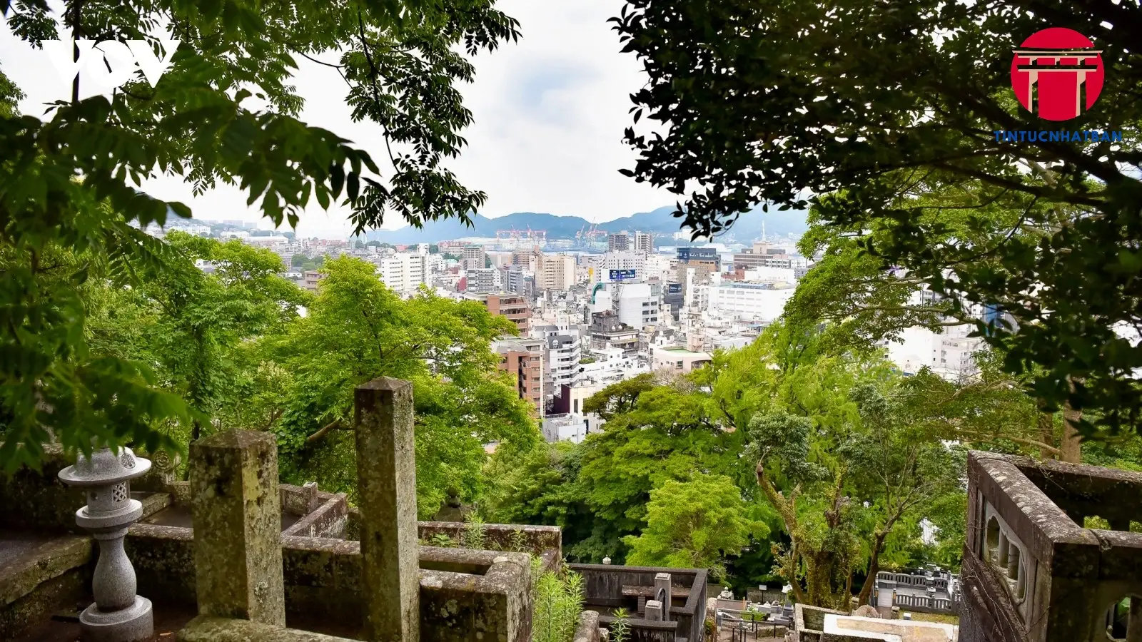 Sen no Rikyu: Bậc thầy trà đạo và di sản văn hóa