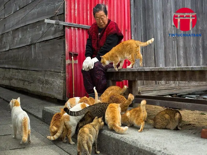 Lưu Trú và Ăn Uống Lưu Trú và Ăn Uống