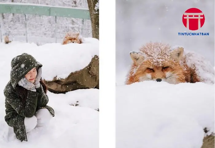 Lịch sử và Đặc điểm của Làng cáo Zao Lịch sử và Đặc điểm của Làng cáo Zao