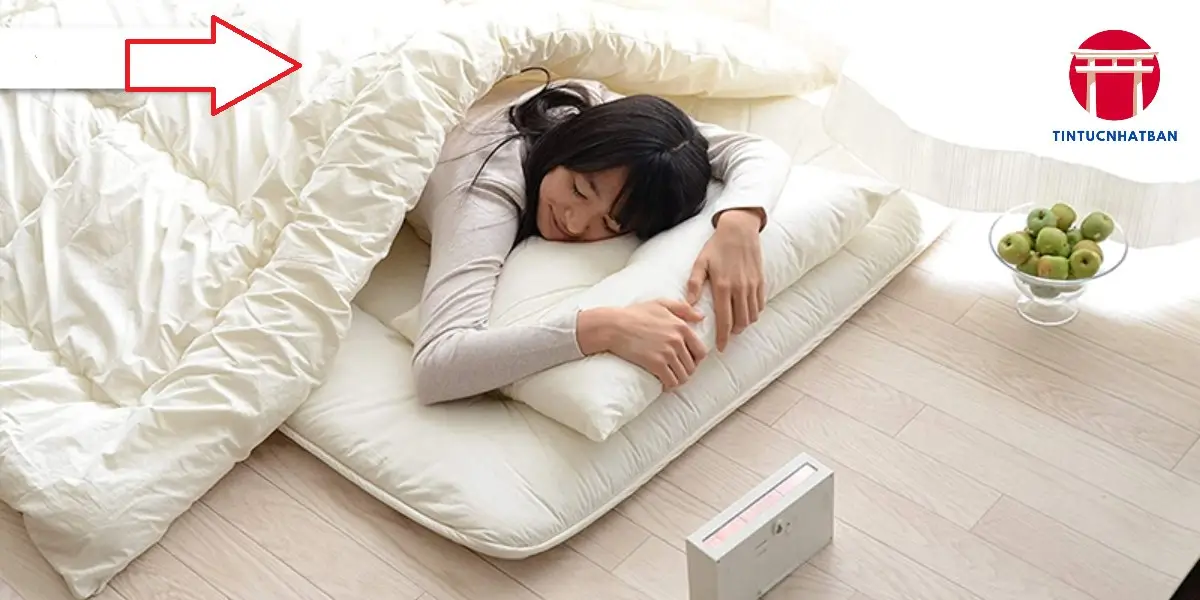 Những Lý Do Văn Hóa và Lịch Sử Đằng Sau Thói Quen Ngủ Sàn Những Lý Do Văn Hóa và Lịch Sử Đằng Sau Thói Quen Ngủ Sàn